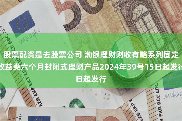 股票配资是去股票公司 渤银理财财收有略系列固定收益类六个月封闭式理财产品2024年39号15日起发行