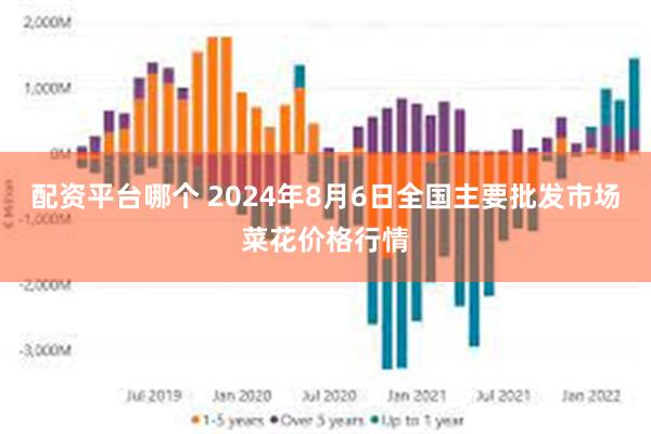 配资平台哪个 2024年8月6日全国主要批发市场菜花价格行情