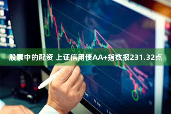 股票中的配资 上证信用债AA+指数报231.32点