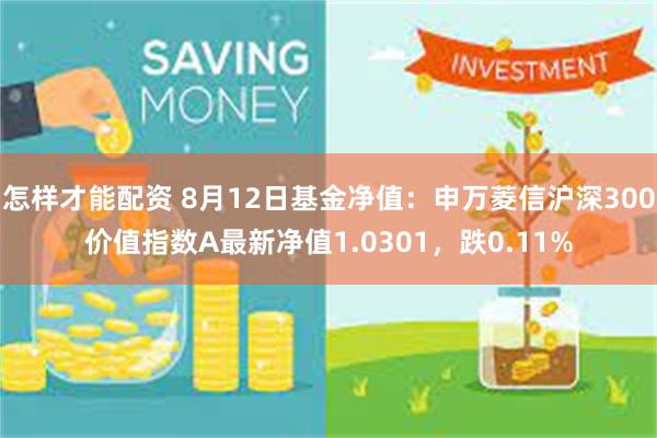 怎样才能配资 8月12日基金净值：申万菱信沪深300价值指数A最新净值1.0301，跌0.11%