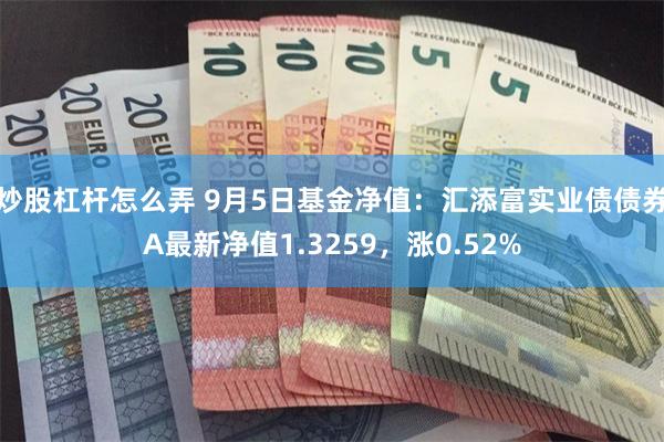 炒股杠杆怎么弄 9月5日基金净值：汇添富实业债债券A最新净值1.3259，涨0.52%