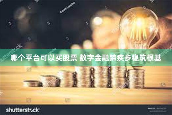 哪个平台可以买股票 数字金融蹄疾步稳筑根基