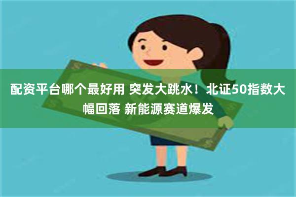 配资平台哪个最好用 突发大跳水！北证50指数大幅回落 新能源赛道爆发