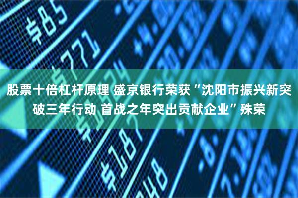 股票十倍杠杆原理 盛京银行荣获“沈阳市振兴新突破三年行动 首战之年突出贡献企业”殊荣