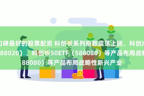 口碑最好的股票配资 科创板系列指数震荡上扬，科创成长50ETF（588020）、科创板50ETF（588080）等产品布局战略性新兴产业