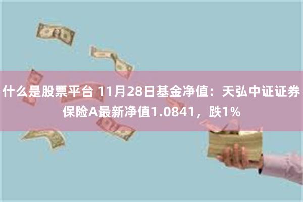 什么是股票平台 11月28日基金净值：天弘中证证券保险A最新净值1.0841，跌1%